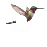 binske binske